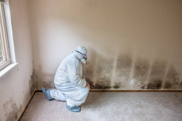 Asbestos and Lead Testing During Mold Inspection in Ko Olina, HI